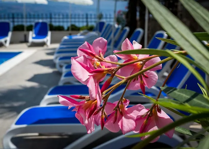 Отель Domino 4*